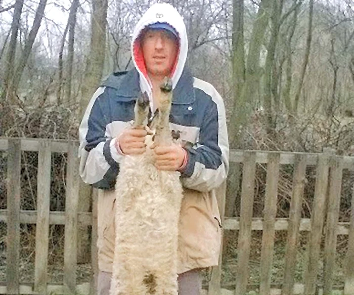 Marius Pătrău are deja cerere pentru mieii de 15-20 kg