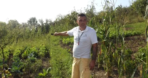 certificat de producător FOTO Corina Macavei