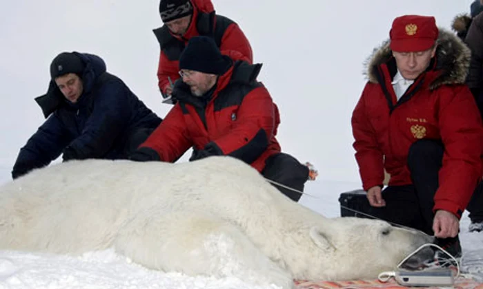 Vladimir Putin şi ursul polar.