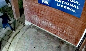 vandal sediu pnl jpeg