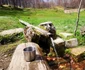 Sarmizegetusa Regia Foto Daniel Guță ADEVĂRUL (3) jpg
