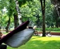 hamace bistrita  8