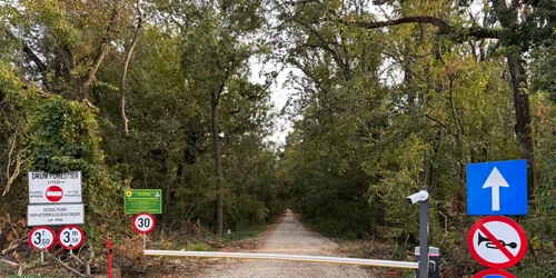 greenfield bariera jpeg