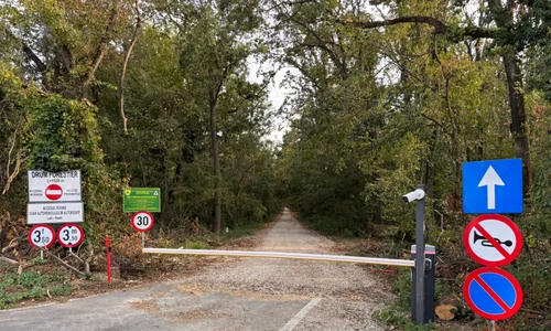 greenfield bariera jpeg