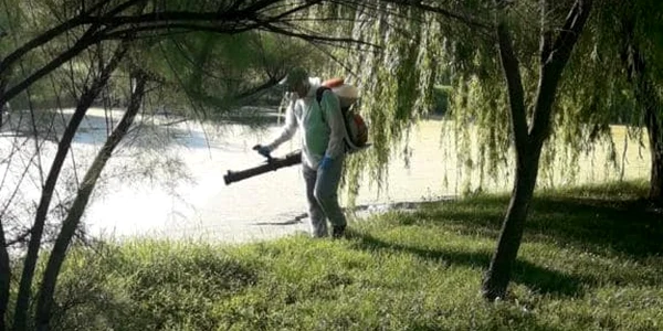 tratamentele de combatere a larvelor de ţânţari foto facebook pmb