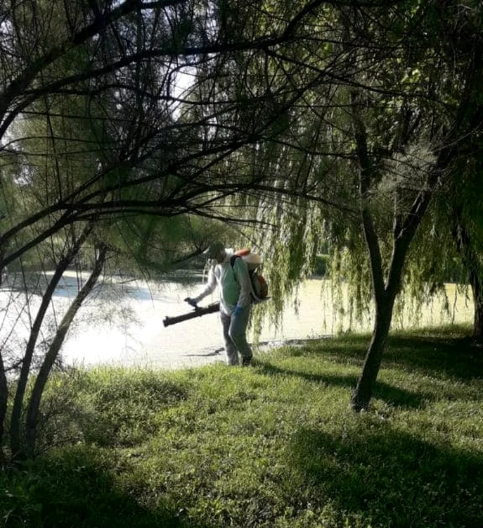 Substanţa biocidă folosită pentru combaterea larvelor de ţânţari este VECTOBAC Foto Primaria Capitalei