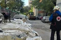 catelusa cealapa buletinul de bucuresti jpg