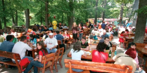 Cola rămâne băutura preferată a românilor