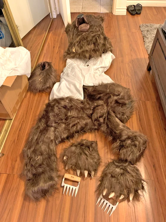 Acesta este costumul de urs folosit de suspecți (Foto: Profimedia)