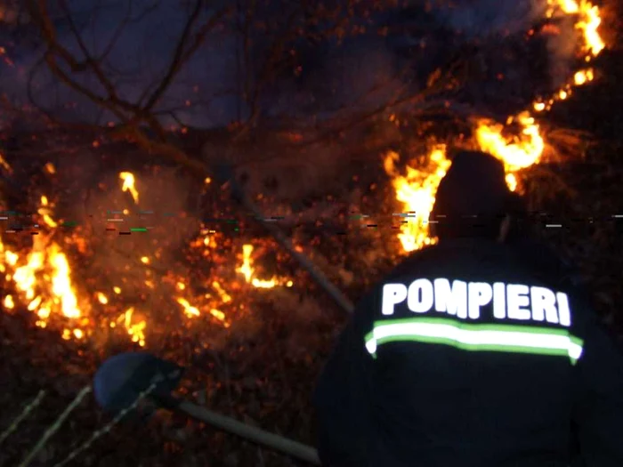 60 de hectare de padure mistuite de flacari la Gura Lotrului