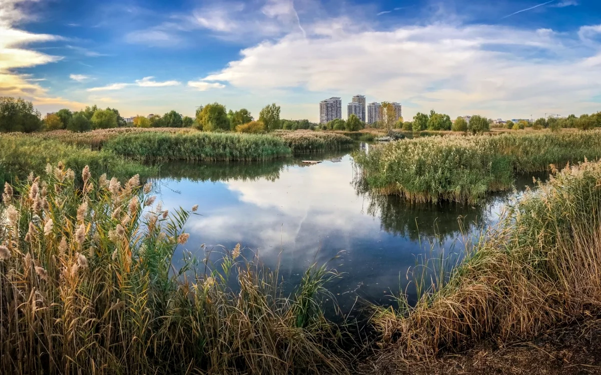 Parcul Natural Delta Văcăreşti