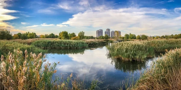 parcul natural delta vacaresti foto shutterstock