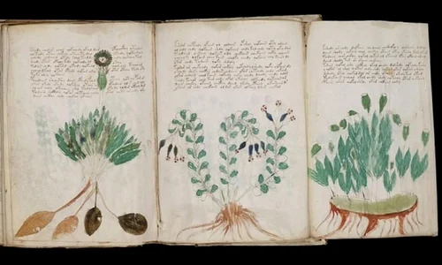 Cea mai misterioasă carte din lume este cu un pas mai aproape de a fi descifrată jpeg