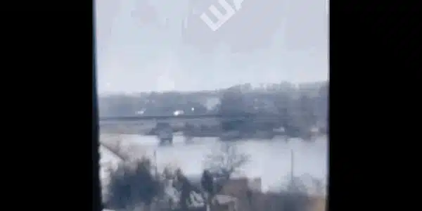 nistru gif gif