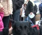 Protest