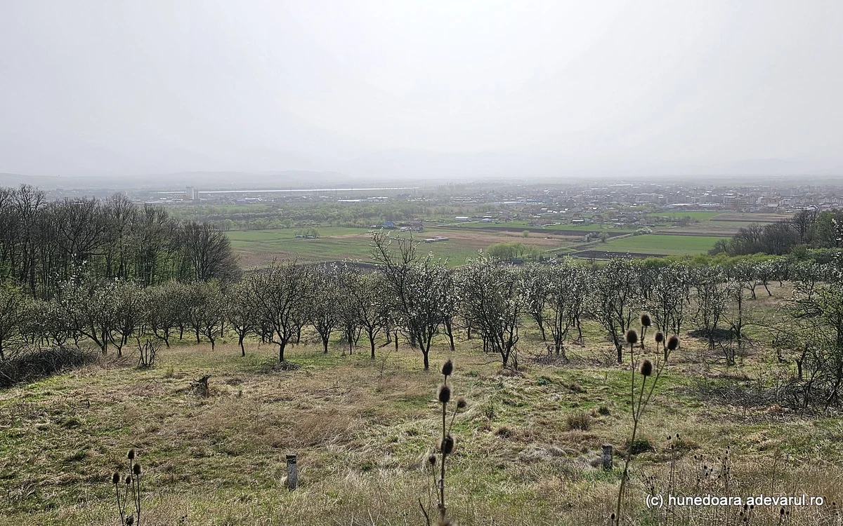 Retezatul, vizibil de obicei din Hațeg, acum învăluit de praf saharian. Foto: Daniel Guță. ADEVĂRUL