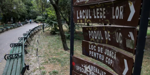 Parcul Cişmigiu în paragină - 26 aug 2021 / FOTO Inquam Photos / Octav Ganea