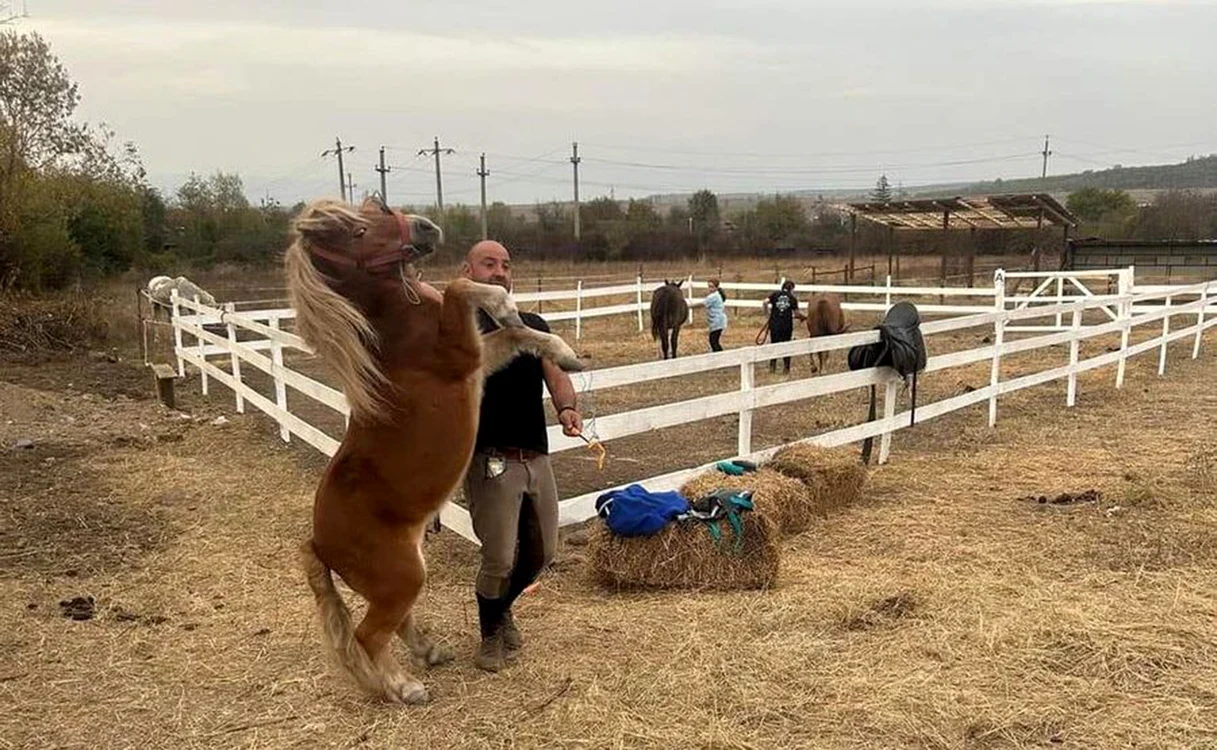 Căluţii năzdrăvani, atracţie pentru toate vârstele. Foto: Arhivă personală