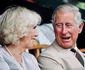 3 camilla shutterstock 1912139866 jpg jpeg