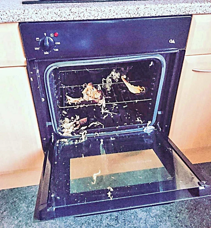 La ultima tentativă,  a distrus   cuptorul  şi tigaia... 