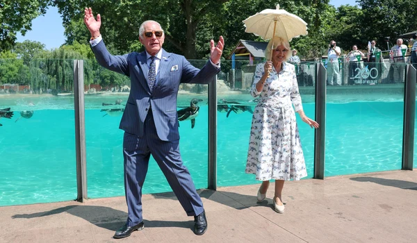 Regele Charles  foto   Profimedia jpg
