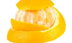 1 2 jpg jpeg