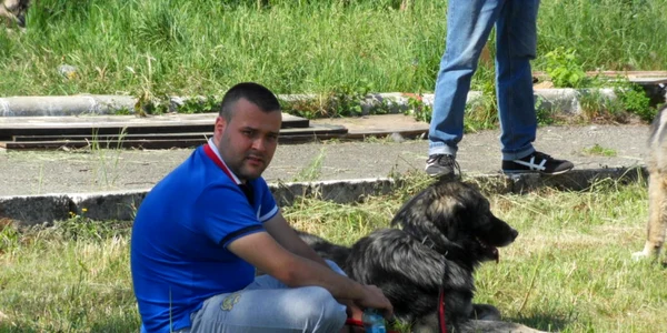 ciobanesti carpatini 3