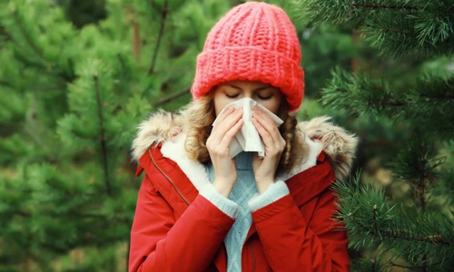 shutterstock 2541436979 jpg