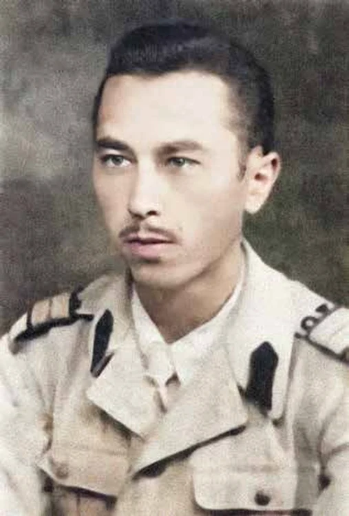 Alexandru Nicolschi