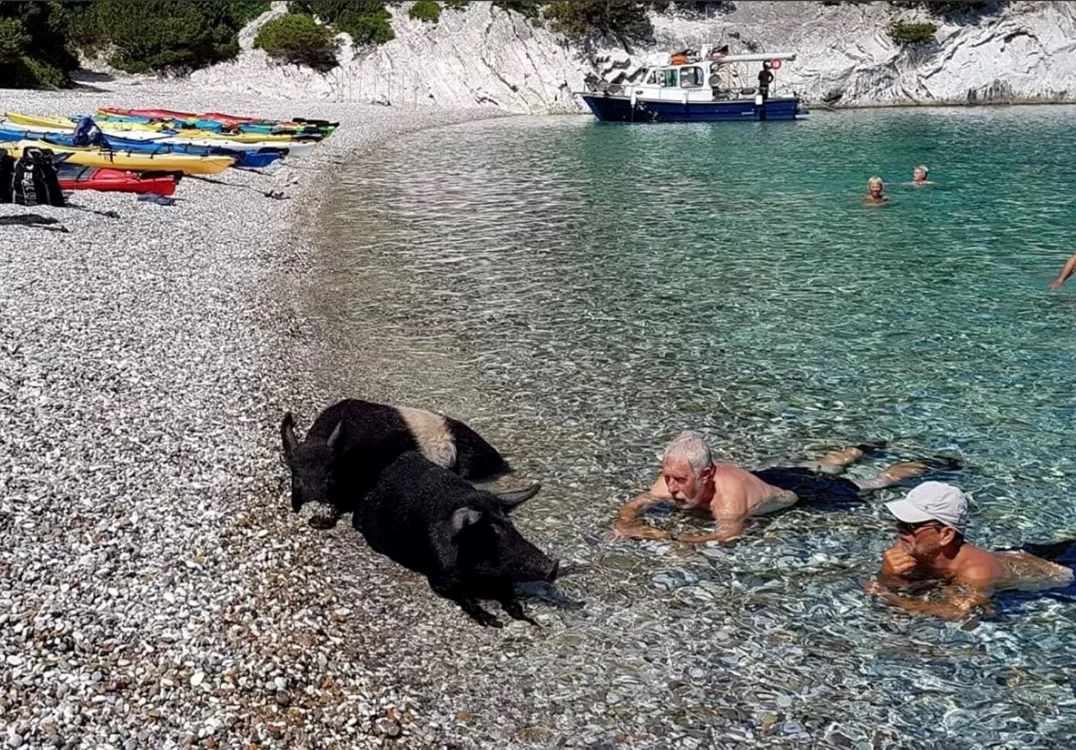 Mistreții înotători au cucerit insula grecească Atokos FOTO: Sea Kayaking Kefalonia