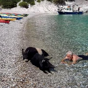 mistreti plaja jpg