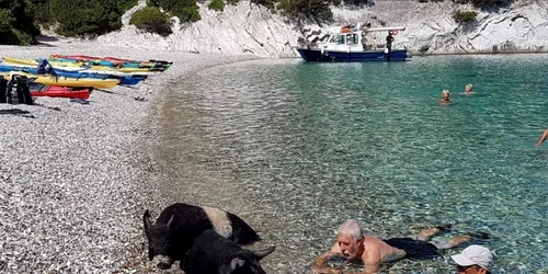 mistreti plaja jpg