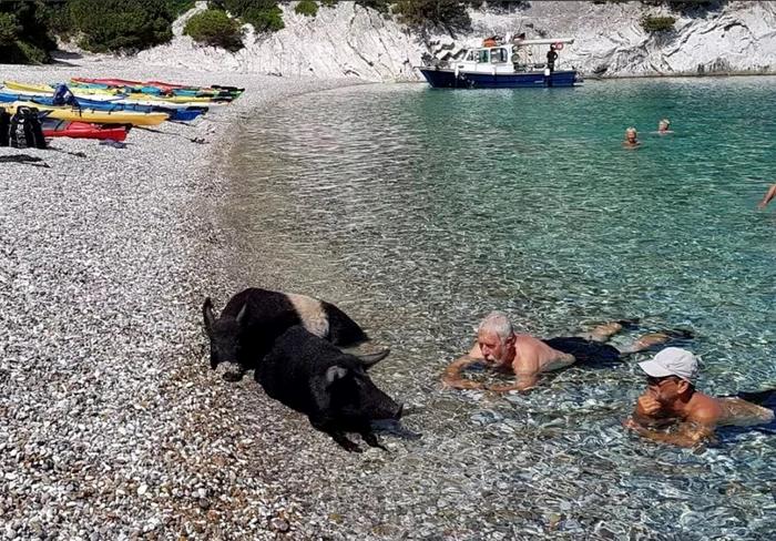 Mistreții înotători au cucerit insula grecească Atokos FOTO: Sea Kayaking Kefalonia