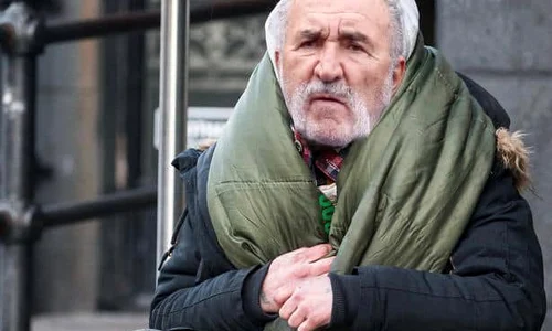 ion țiriac boschetar
