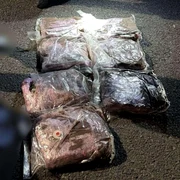 politistii au prins un tanar care transporta 7kg de canabis png