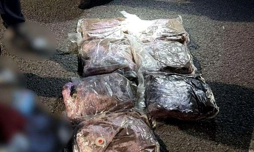 politistii au prins un tanar care transporta 7kg de canabis png