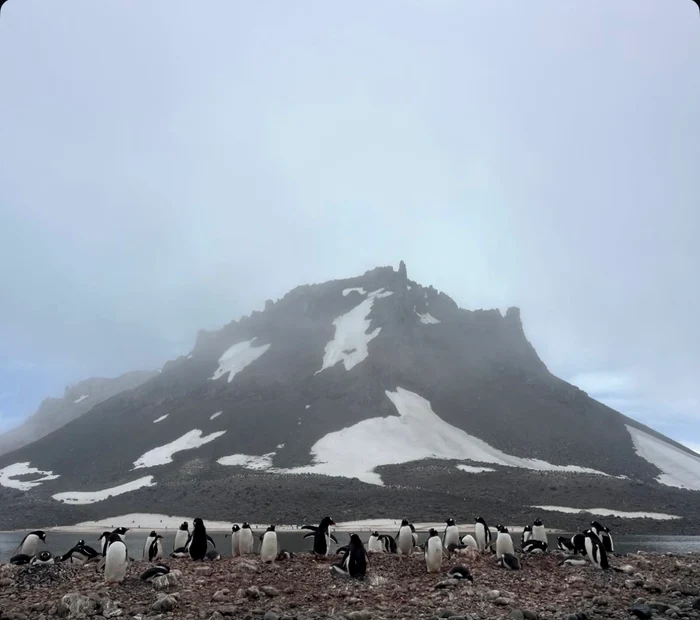 Carys Douglas X jfif