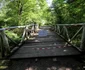 Parcul dendrologic Simeria Foto Daniel Guță ADEVĂRUL (29) JPG