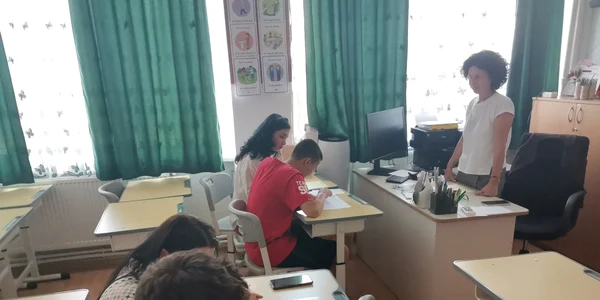 completare optiuni liceu fisa inscriere   foto alina mitran (1) jpg