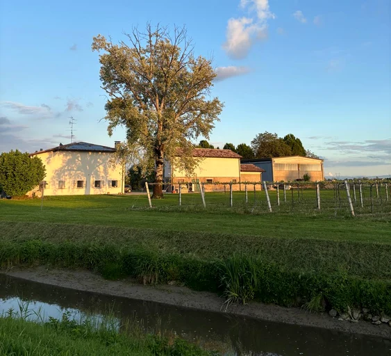 Viața liniștită din Modena