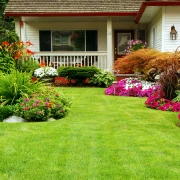 casa curte gradina e1697701301648 webp