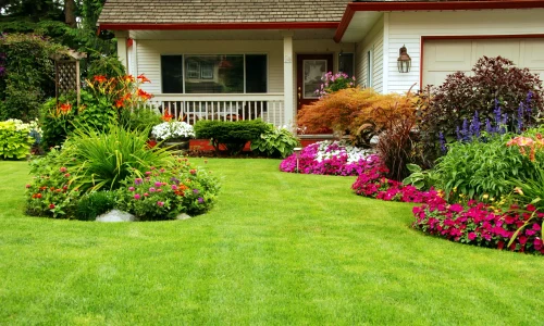 casa curte gradina e1697701301648 webp