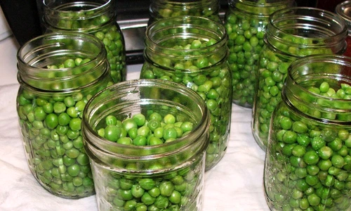 Cum pui mazăre la borcan pentru iarnă jpeg