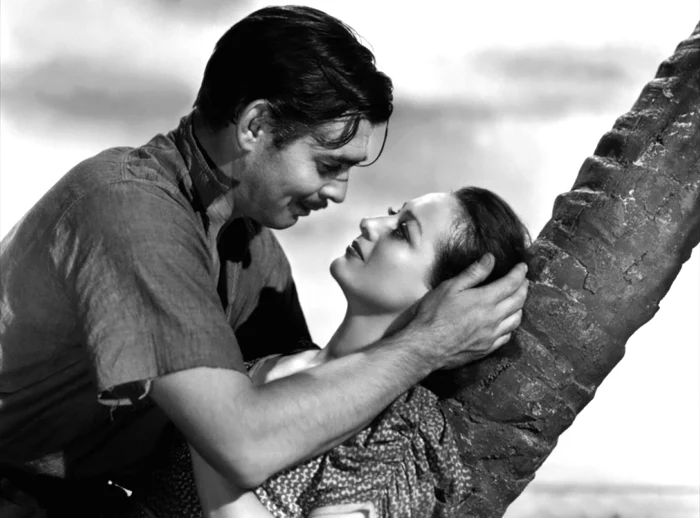 profimedia 0095565757 jpg jpeg