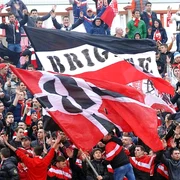 fani dinamo jpeg