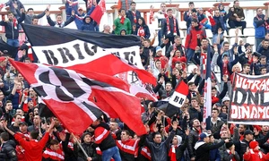 fani dinamo jpeg