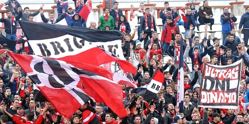 fani dinamo jpeg