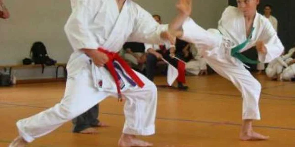Baia Mare: Băimărenii se întrec în lovituri de shotokan