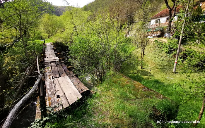 Fost pod feroviar de pe traseul mocănițelor. Foto: Daniel Guță