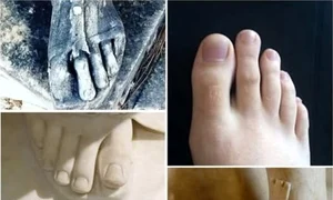 611162629 1407857554044840 2286726450016991888 n jpg